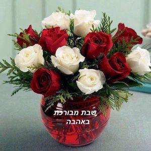 Meet your Posher, Diana